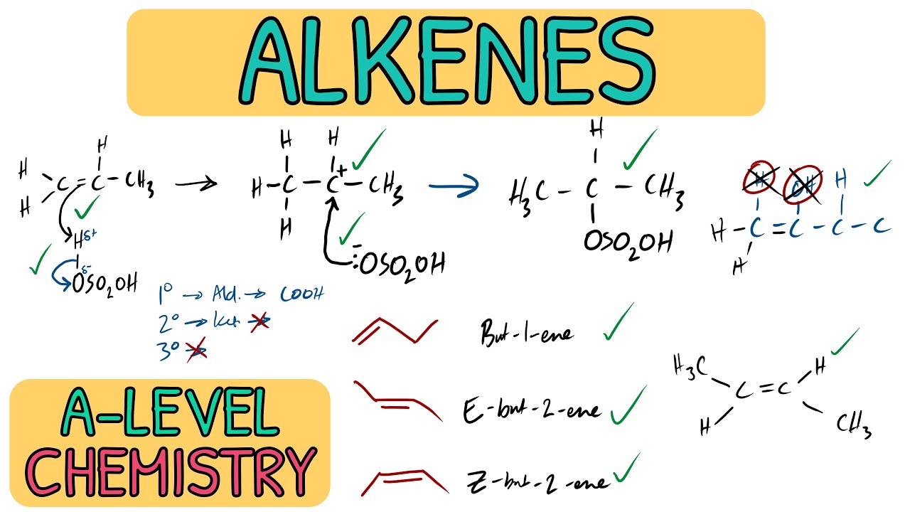 Alkenes - Exam Question Walkthrough｜AQA A Level Chemistry