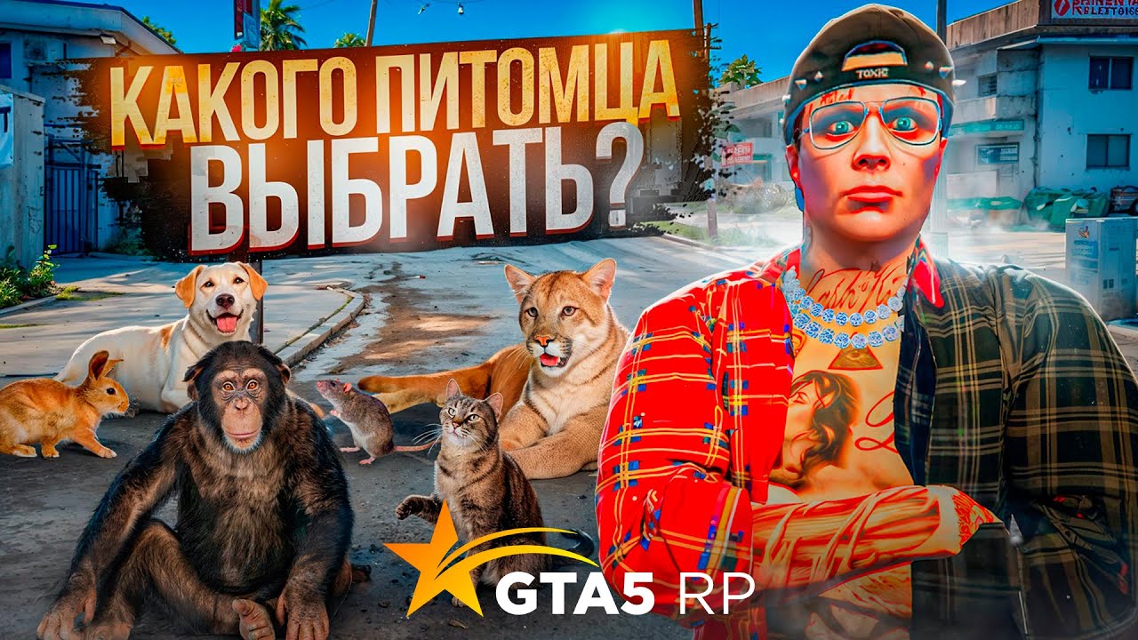 КАКОГО ПИТОМЦА ВЫБРАТЬ на ГТА 5 РП