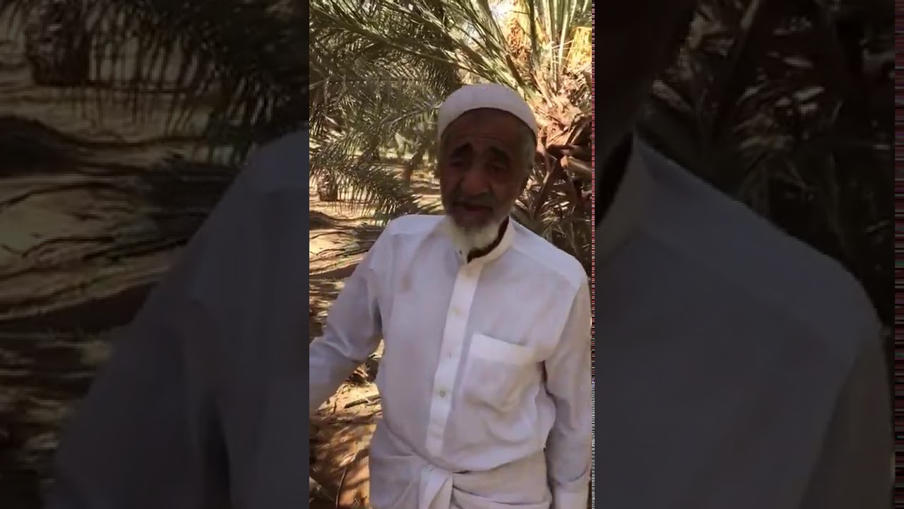 طريقة قلع وغرس فرخ النخلة مع ابو حصين