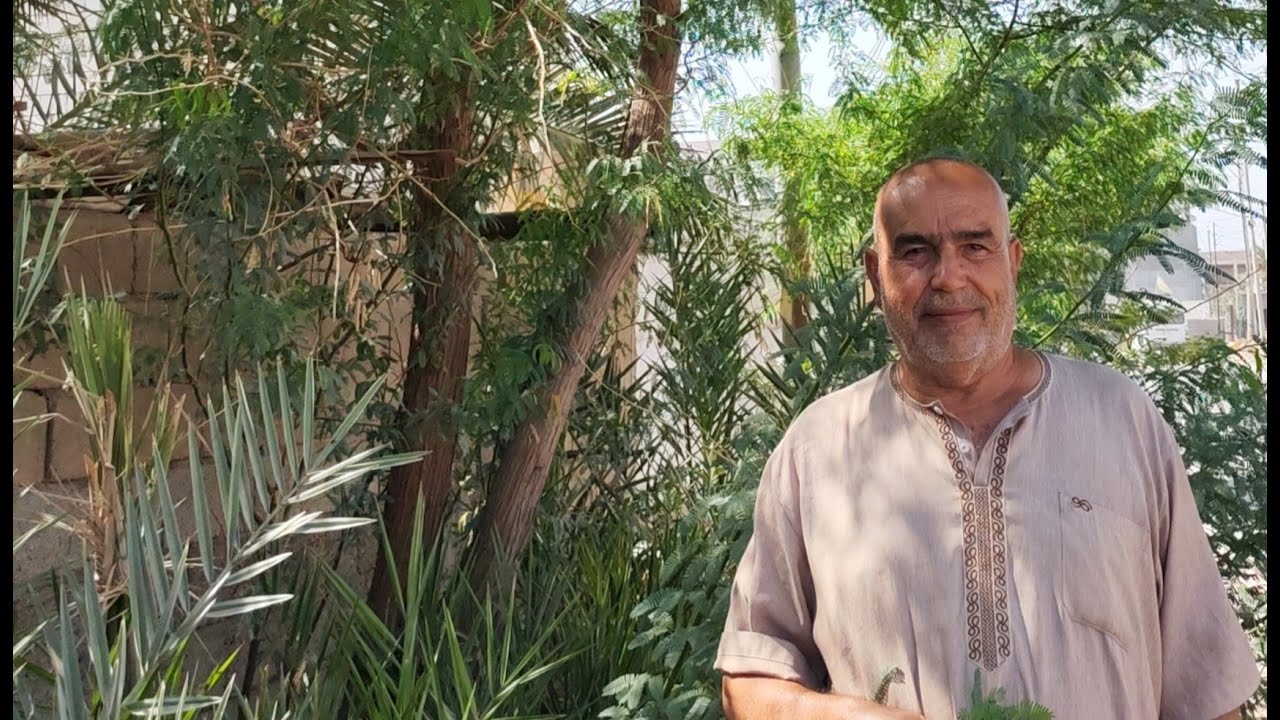 الاشجار المقاومه للحر والماء المالح /الشيخ أبو نبراس
