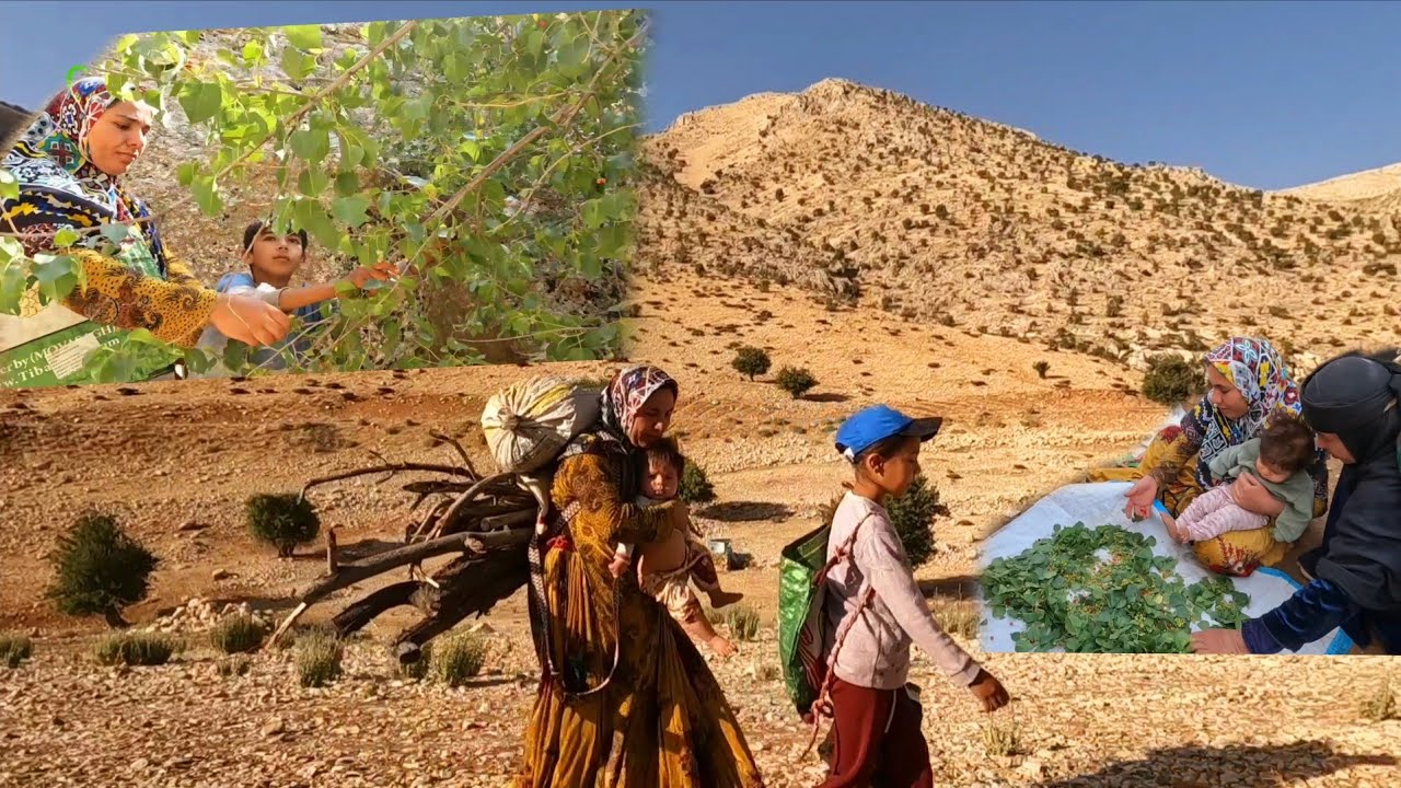 The Story of Our Lives: The Voice of Love and Hardship of a Nomadic Woman and Her Children