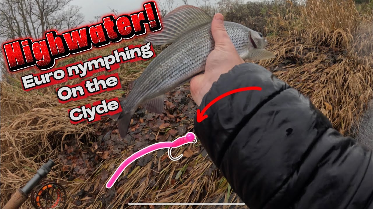 The Fly Everyone Catches With&hellip; Except Me?! | Grayling fishing on the River Clyde