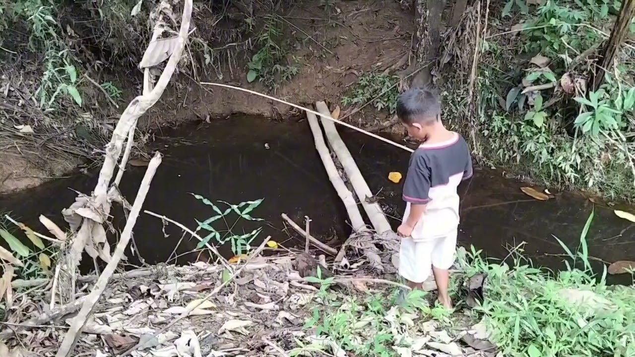 29 Januari 2026 Mancing di hutan menggunakan joran JADUL/ASMR JUST MUSIC