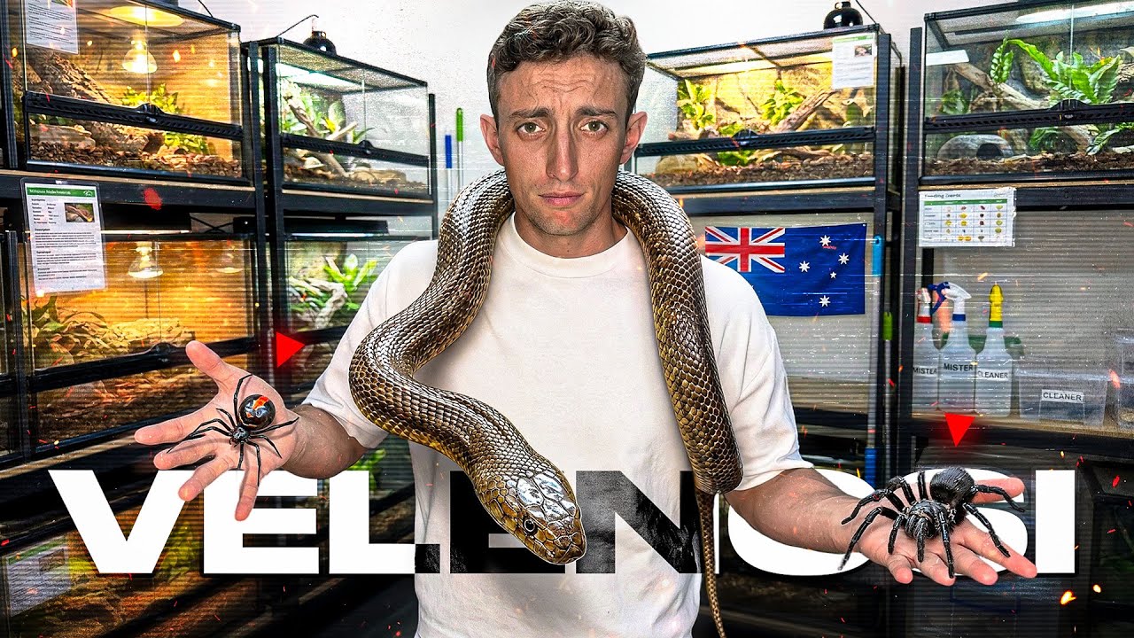 LAVORARE In AUSTRALIA Nel lavoro Pi&ugrave; Pericoloso Al Mondo.