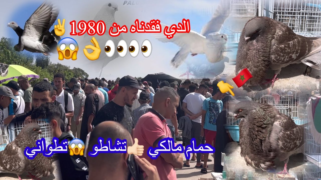 حمام-