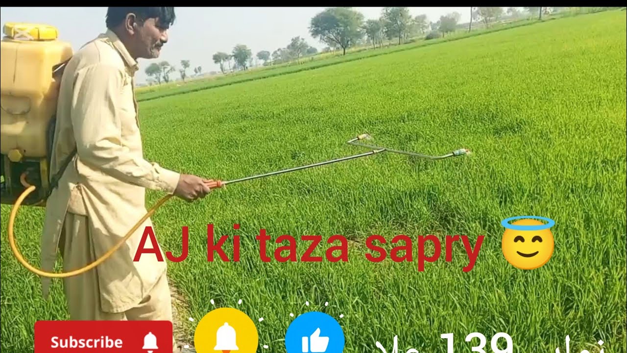 Video video viral for you baby viral Ho Jaaye video Nawab vlogs 139 1 billion views