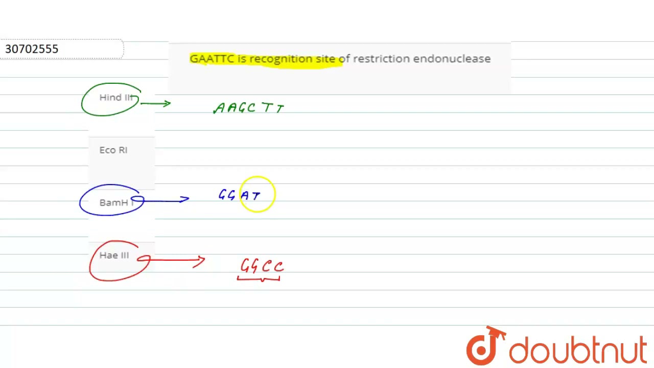 GAATTC is recognition site of restriction endonuclease | 12 | PRINCIPLES AND APPLICATIONS OF BIO...