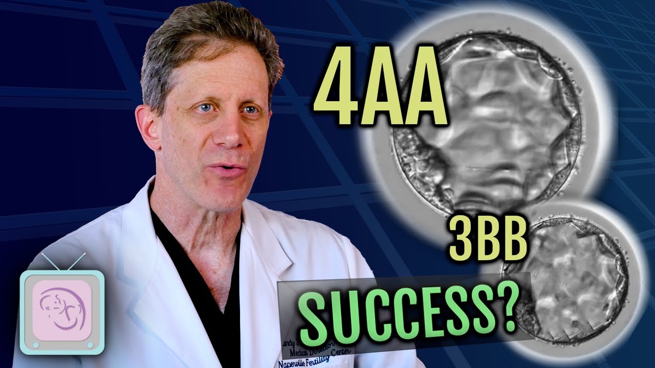 Эксперт по ЭКО: Предсказывают ли оценки эмбриона успех ЭКО?