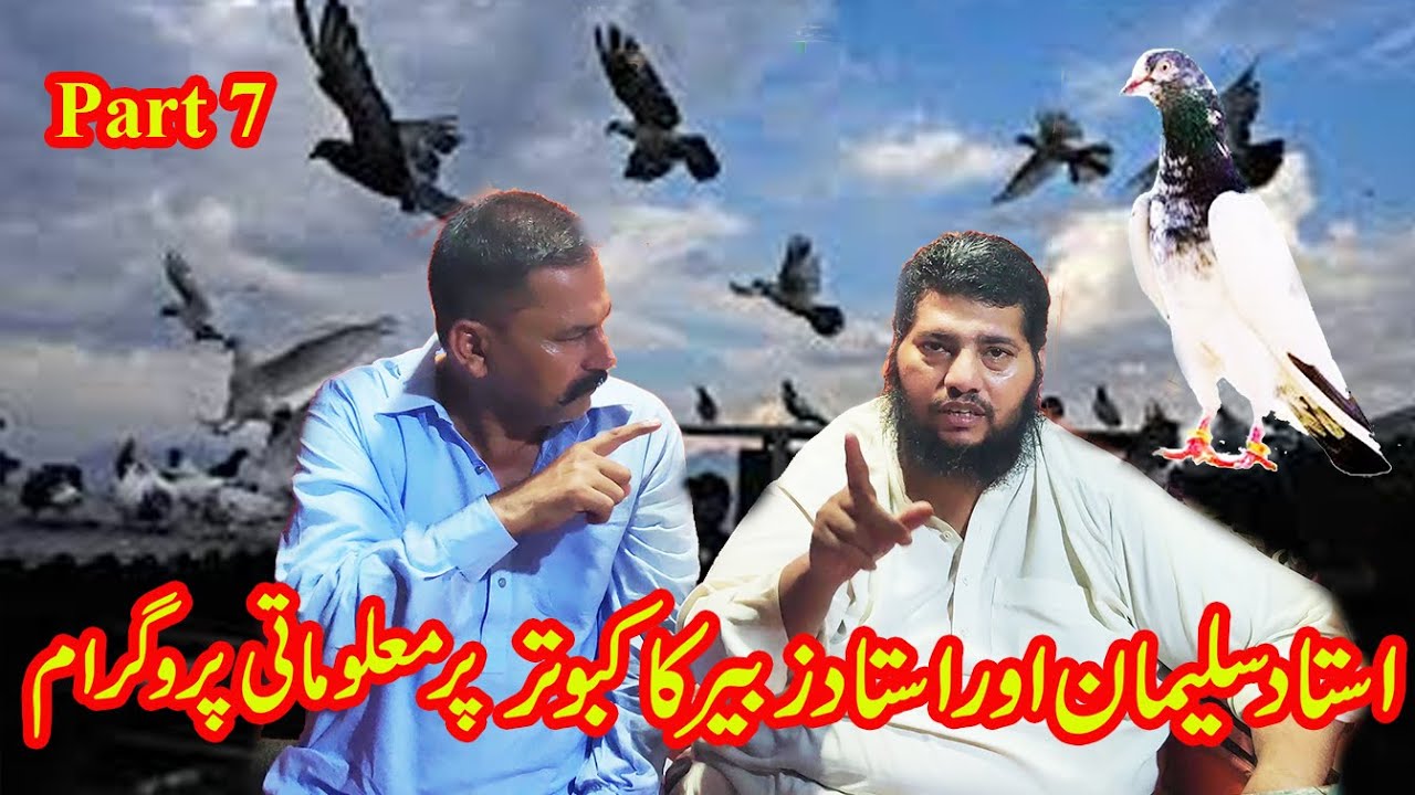 ustad suleman and ustad zubair's best interview on pigeons || kabootar bazi || kabootr medisnce