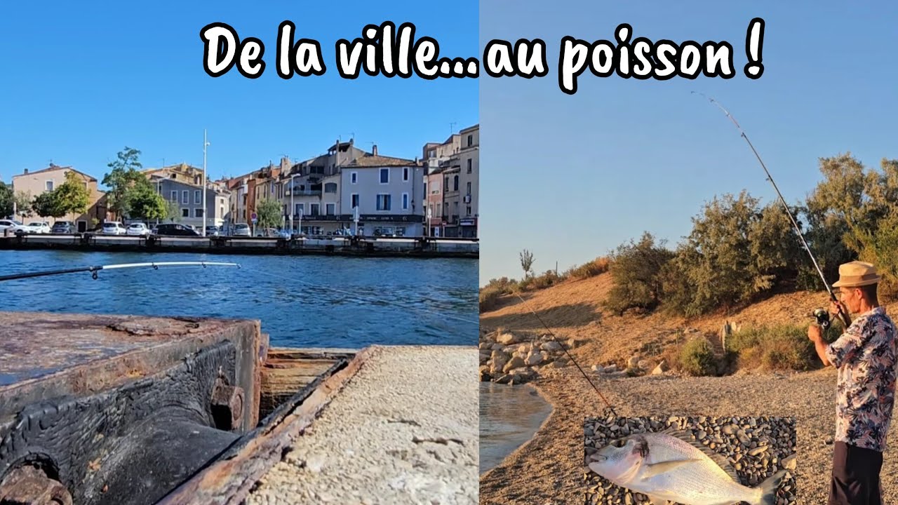 De Martigues à la plage : pêche tranquille… puis carton sur les dorades royales en famille ! 🎣☀️