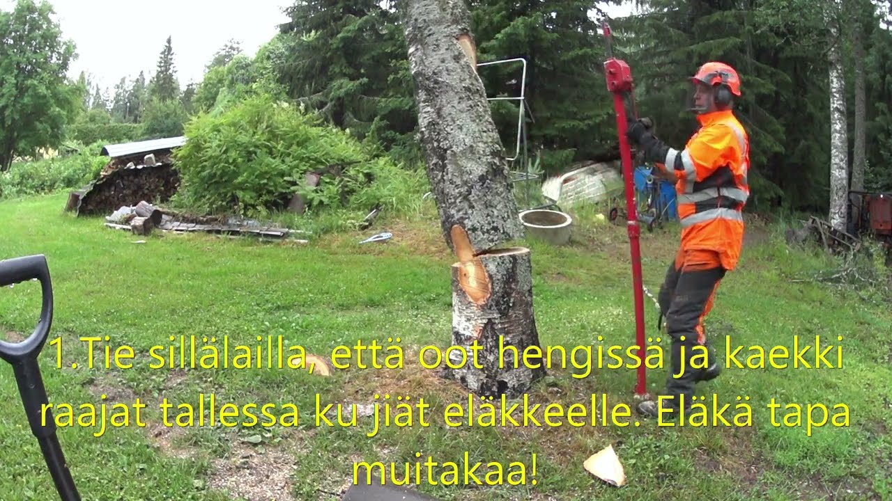 Metsolan Metsäkoulu 316 - Metsurin huoneentaulu eiku video