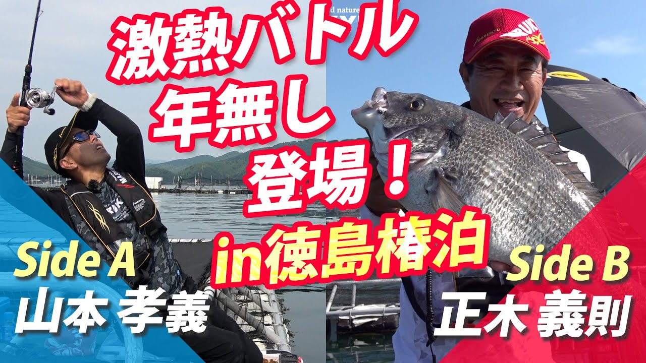 激熱バトル、年無し登場！徳島県椿泊のかかり釣り