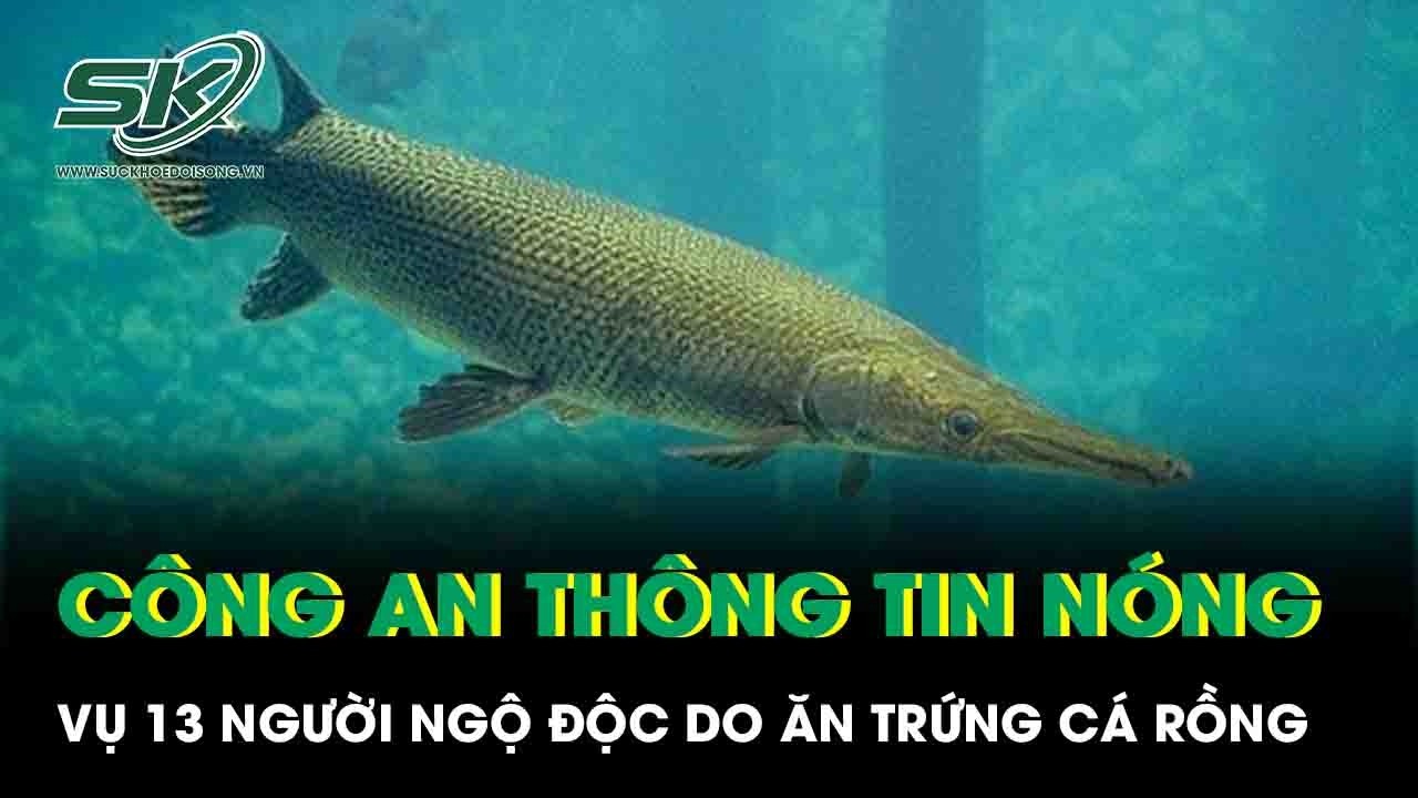Công an Thanh Hóa thông tin nóng vụ 13 người ngộ độc do ăn trứng cá rồng gây hoang mang dư luận