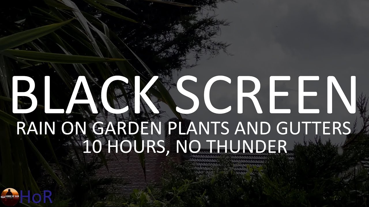 Fall Asleep Fast With Sounds of Rain on Garden Plants and on Gutters by House of Rain