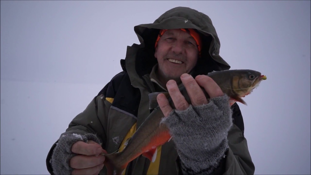 Rautupilkillä Käsivarressa 20-26.3.2017 HD