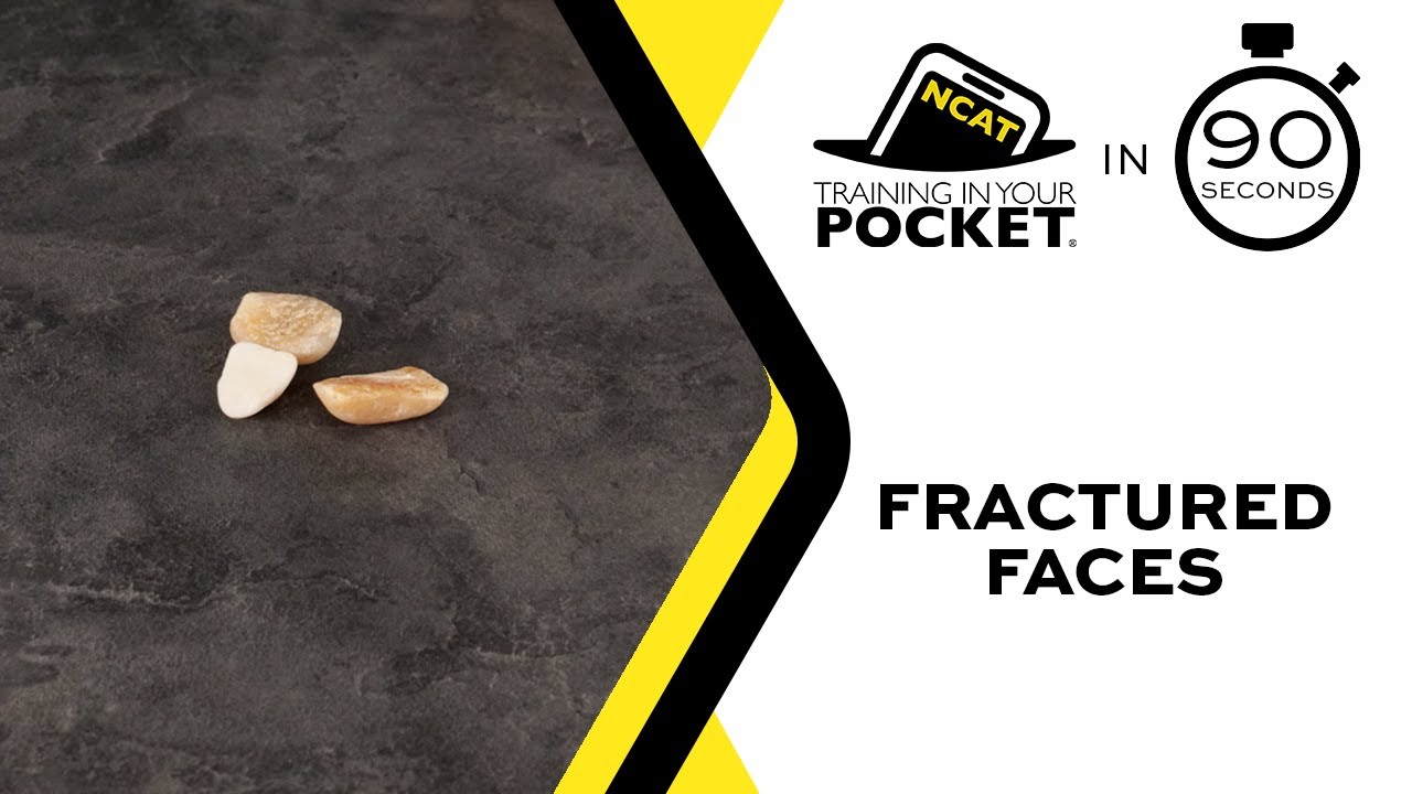 Training In Your Pocket in 90 Seconds: Fractured Faces