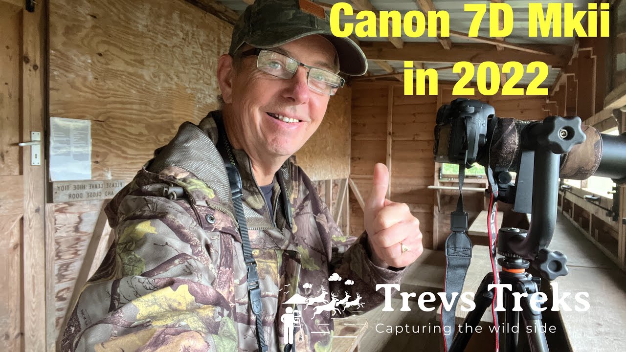 Canon 7D mkii в 2022 году? Наблюдение за птицами и фотография в Великобритании. Озеро Роудфорд, Д...