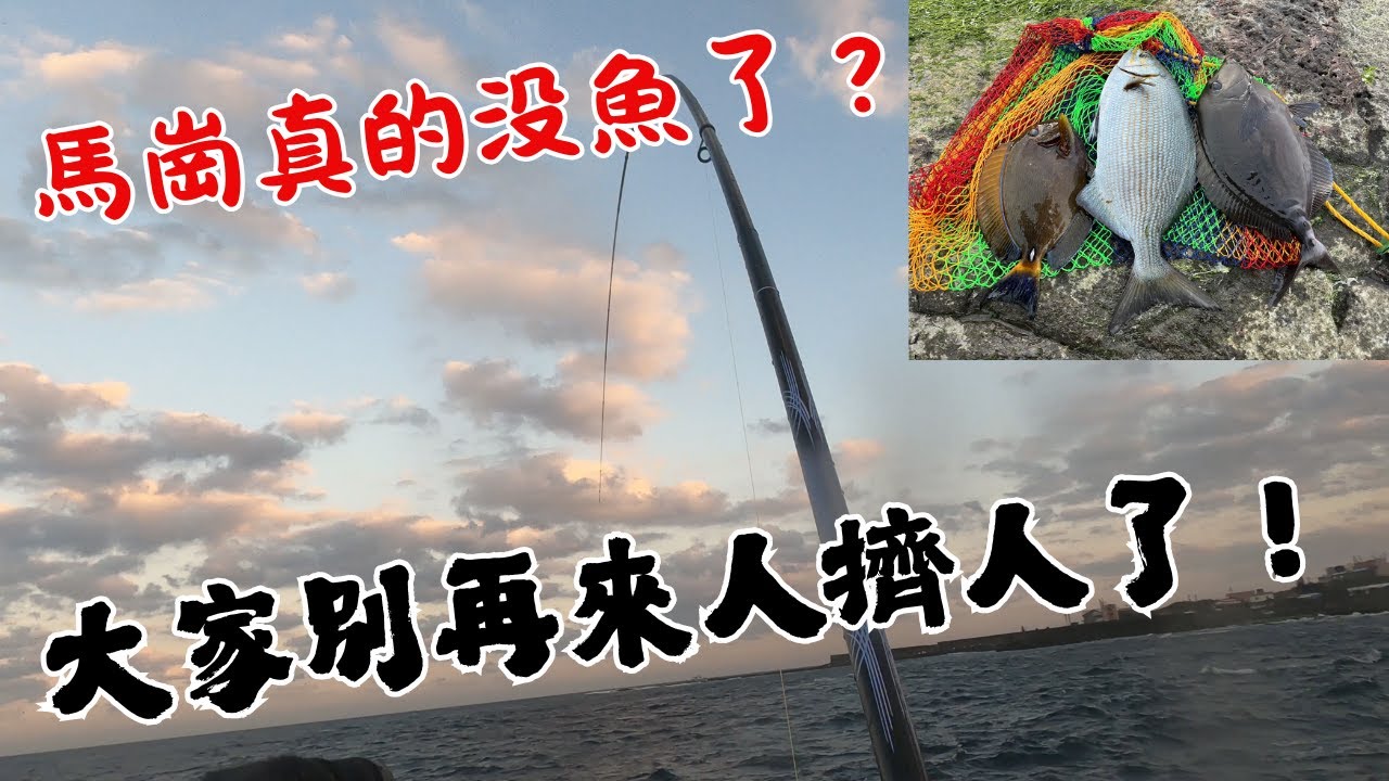 #藻餌磯釣