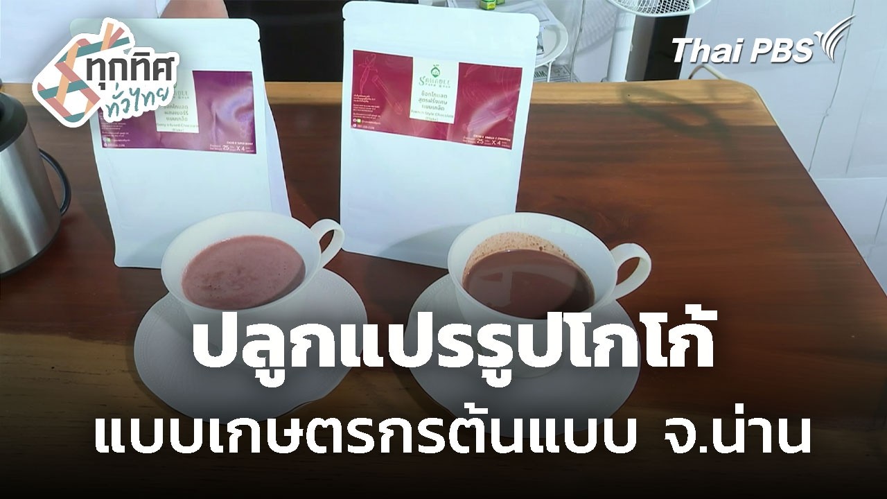 เกษตรกรรุ่นใหม่ ปลูกแปรรูปโกโก้ จ.น่าน | ทุกทิศทั่วไทย | 10 ก.พ. 69