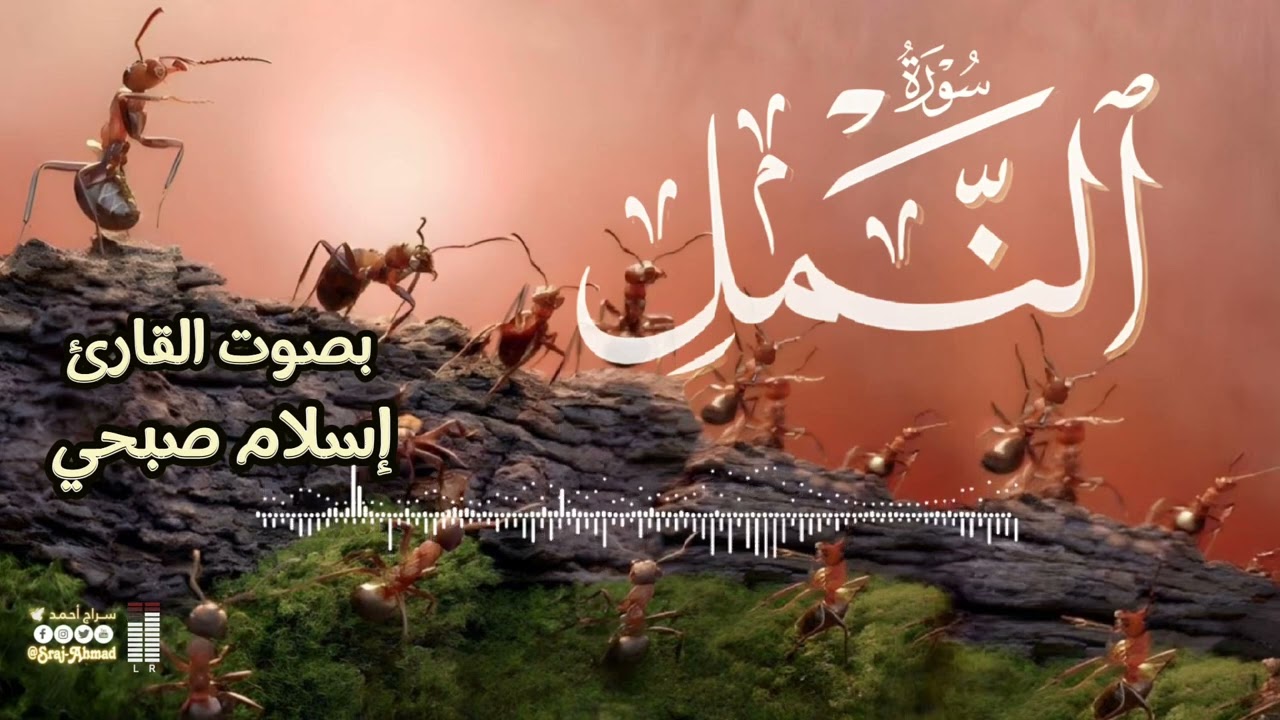 سورة النمل|| بصوت القارئ: إسلام صبحي #قرآن_كريم #سورة_النمل #القارئ_إسلام_صبحي #Quran #Surah_an_naml