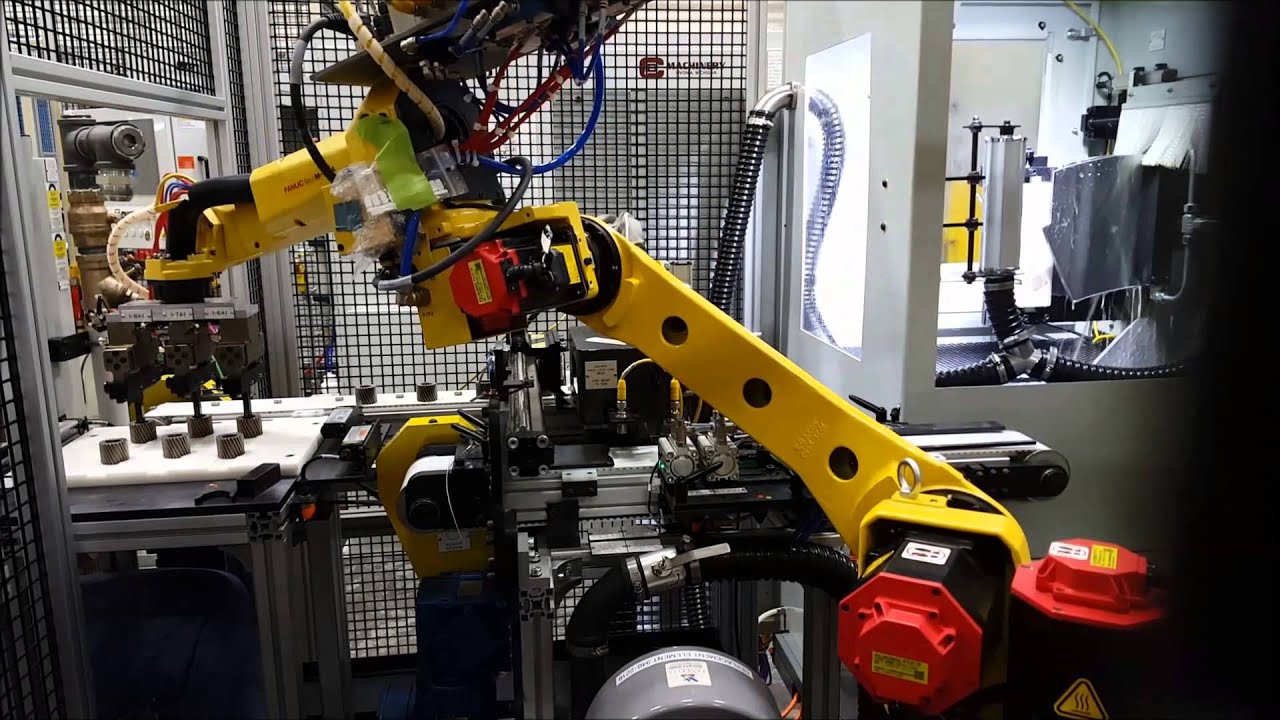 Double Disc Grinding Machine with Fanuc Robot