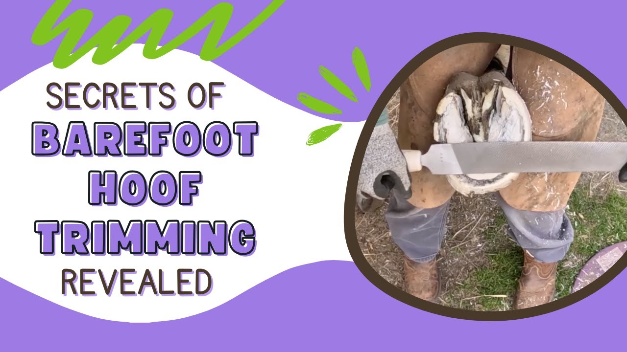 Hoof Trim Tutorial | Step by Step Horse Hoof Trim