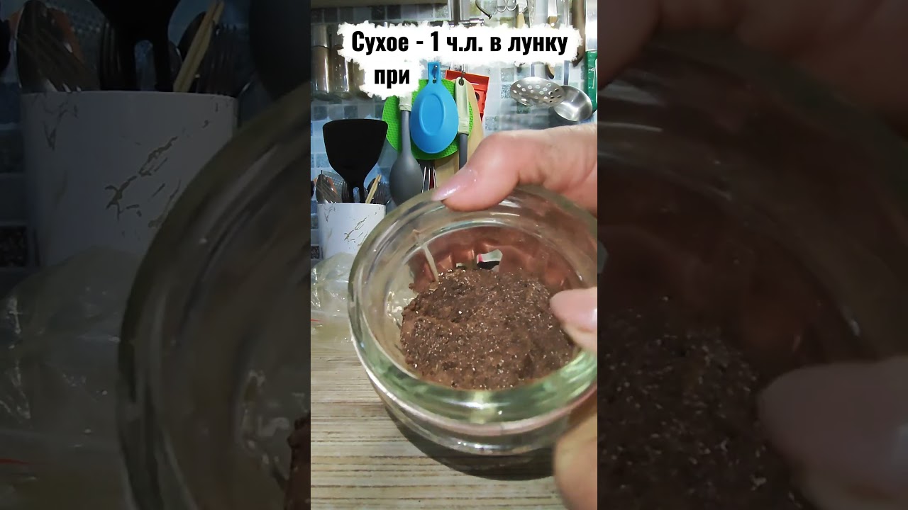 Удобрение из отходов для рассады и цветов! #огород #удобрение #organic