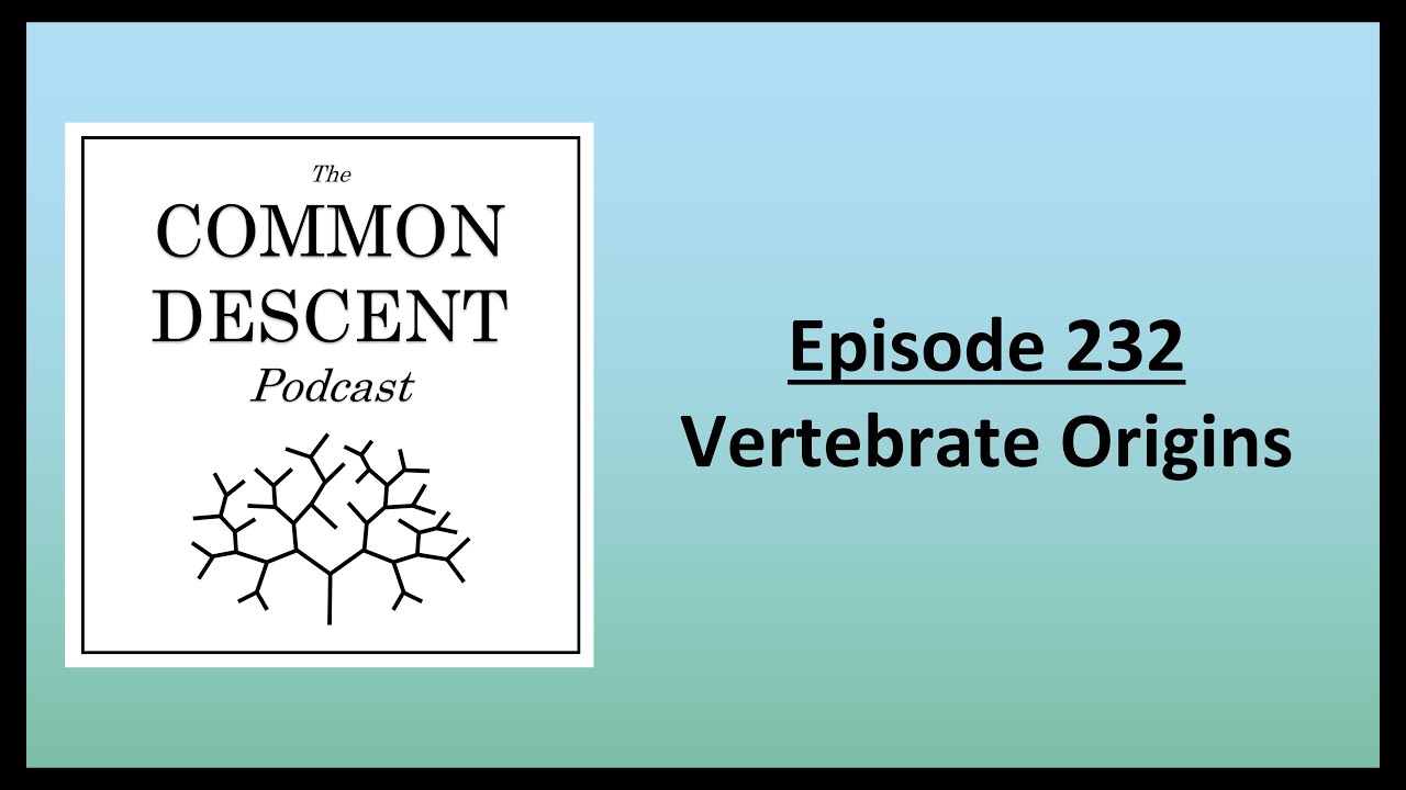 Episode 232 - Vertebrate Origins