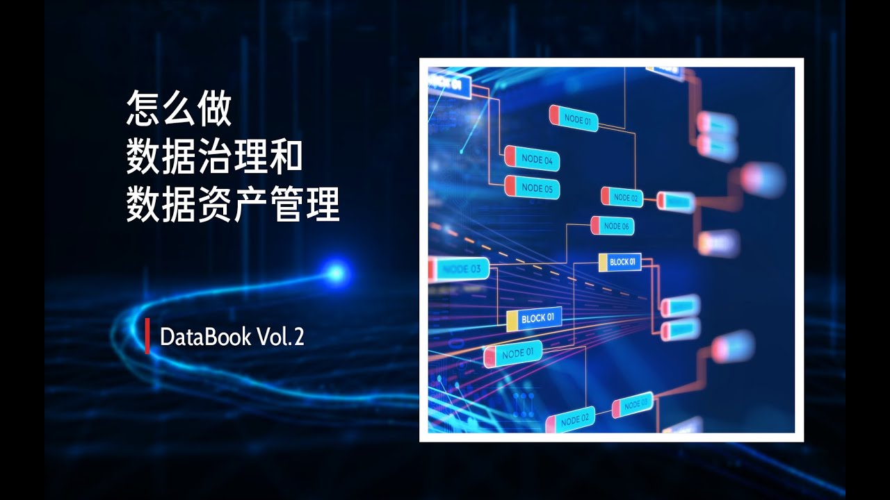 Vol.2 数据治理和数据资产管理怎么做