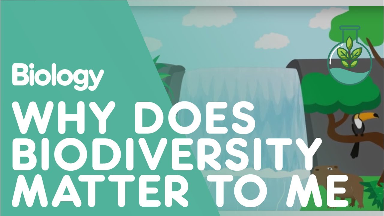 Why Does Biodiversity Matter To Me? | Ecology and Environment | Biology | FuseSchool