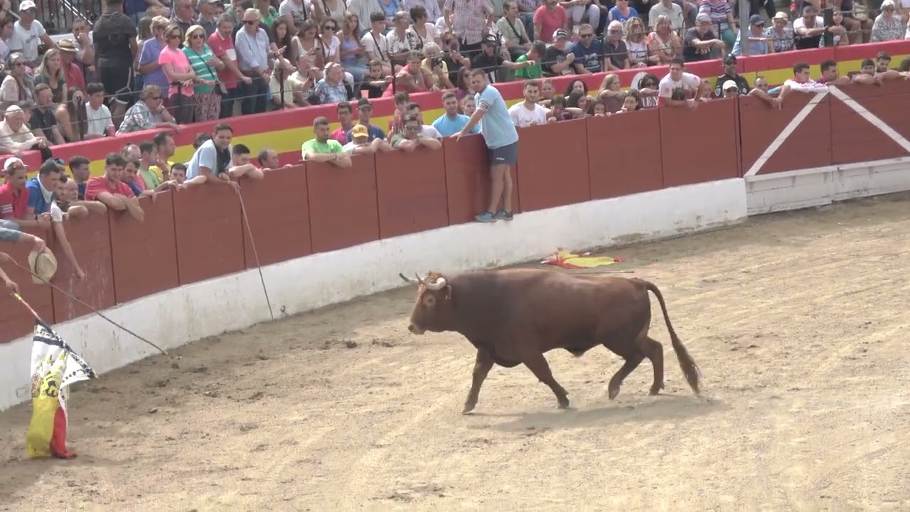 TOROS EL CASAR 6 9 2023