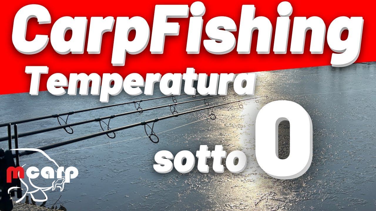 Carpfishing 🎣 con temperature sottozero ❄