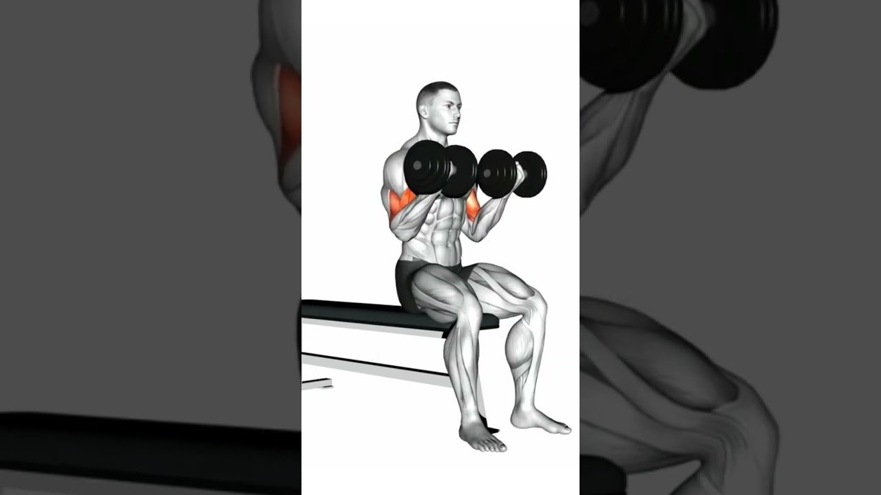KURZHANTEL &Uuml;BUNGEN F&Uuml;R JEDEN MUSKEL #muskelaufbau #trainingsplan #muskelaufbautipps