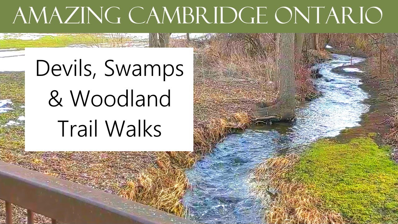 Where to Walk in Early Spring in Cambridge