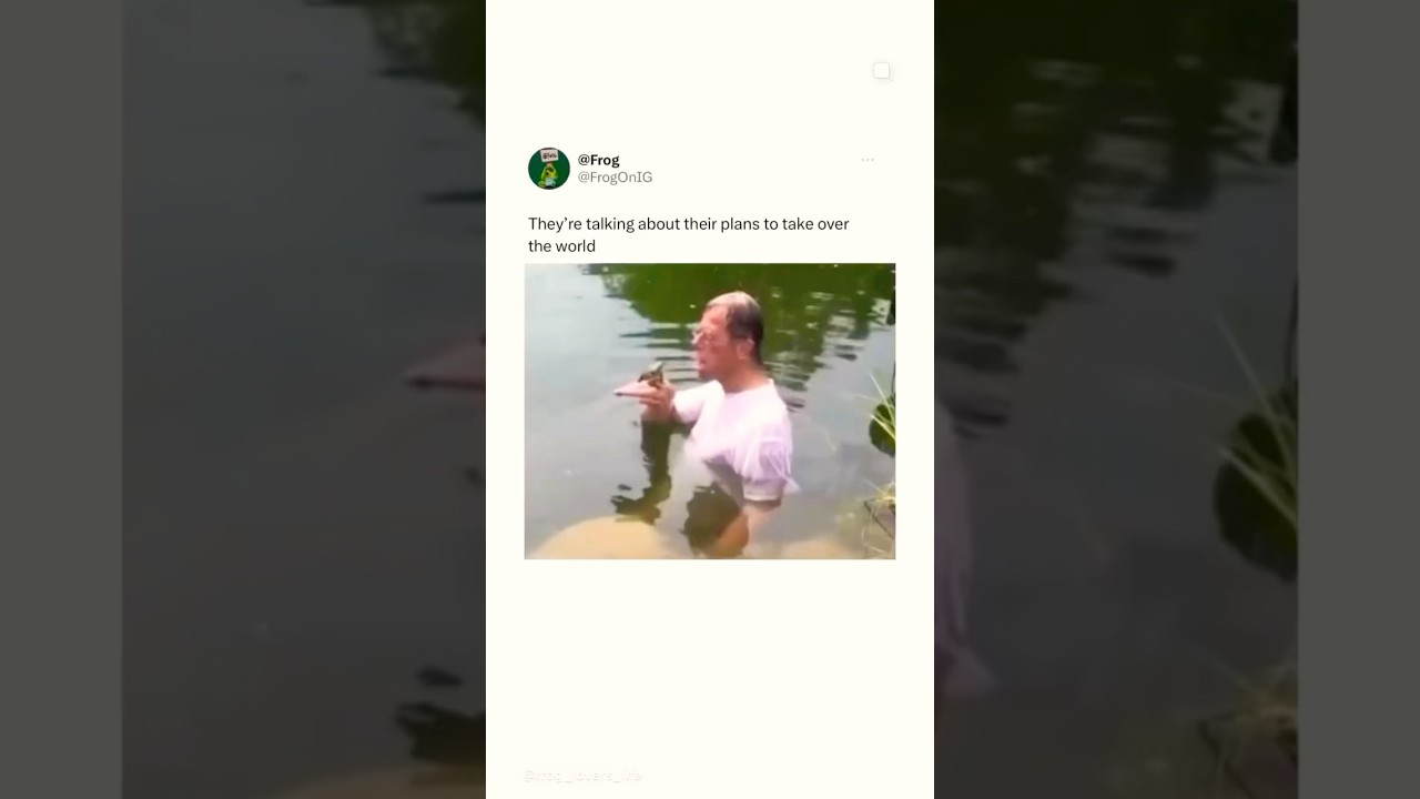 🐸 Life goals #lebensziele#funny#frog#
