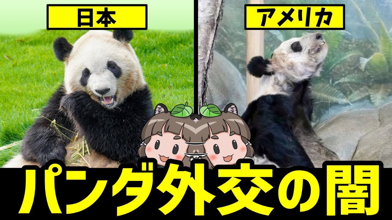 【格差】パンダ外交の闇…日本とアメリカでなぜ差があるのか？