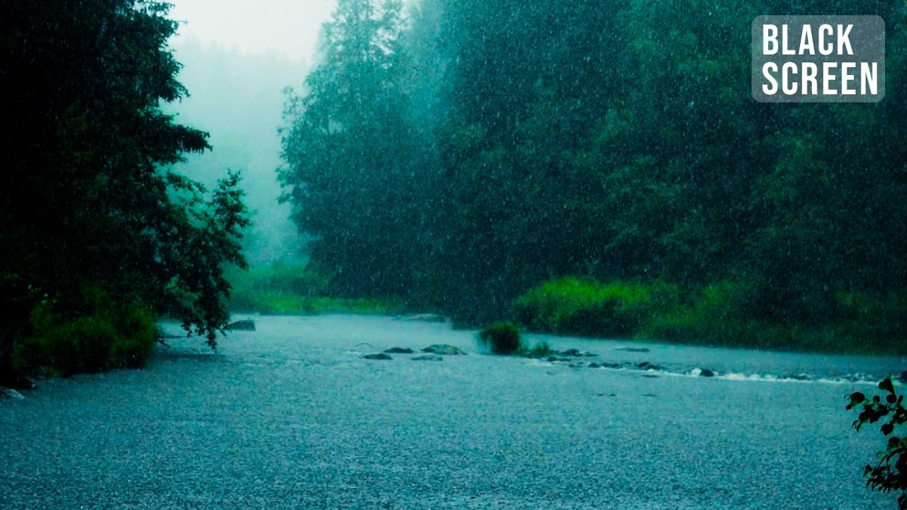 Rain & Thunder Sounds for Sleeping | Black Screen | 11 Hours