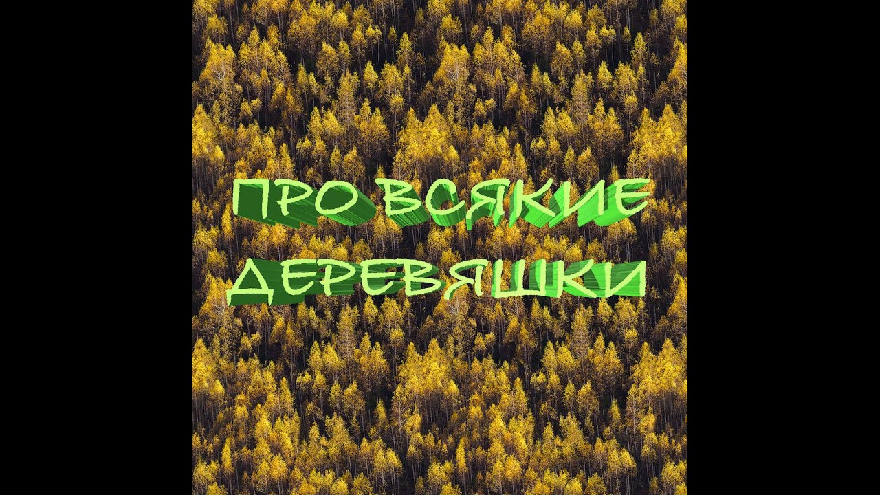 Рассказ про разные породы дерева