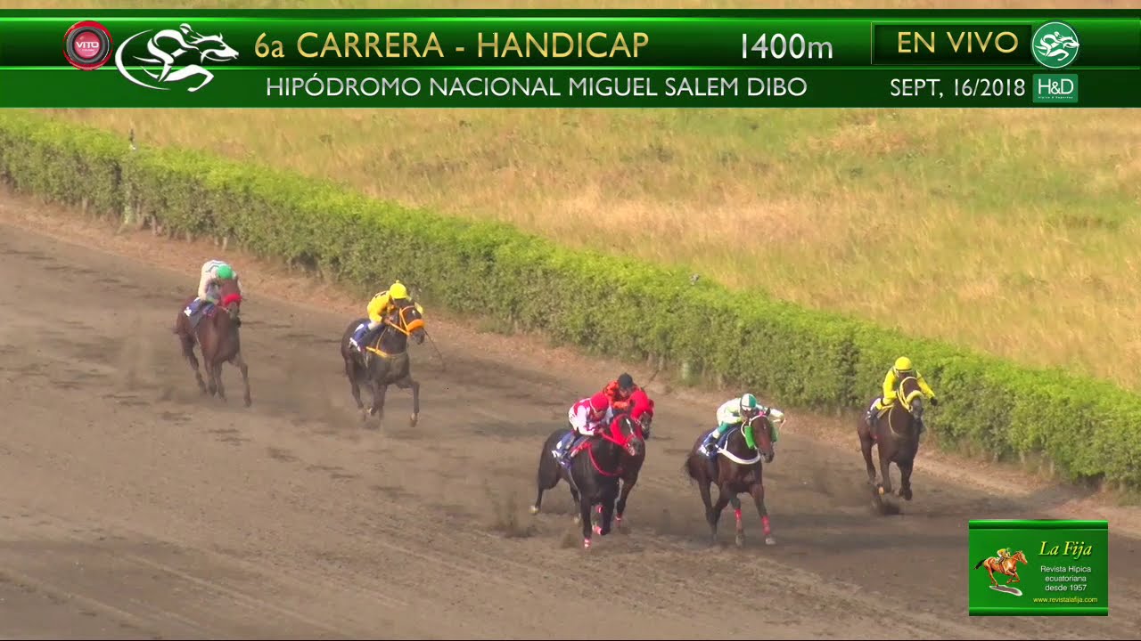 2018-281 Alcindoro (USA) sept. 16, 2018 - Hipódromo Miguel Salem Dibo - Revista La Fija