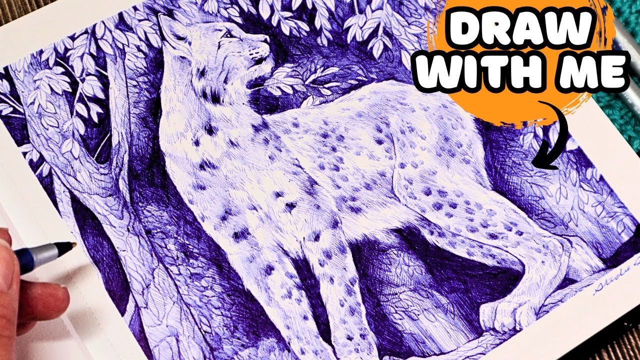 ASMR Pen Drawing of a Lynx ✨ | No Talking, No Music
