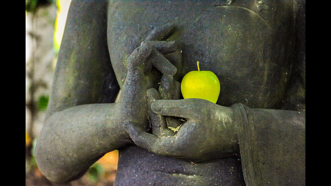 Recording of Dharma Chakra Mudra for Integrating the Chakras into Daily Living