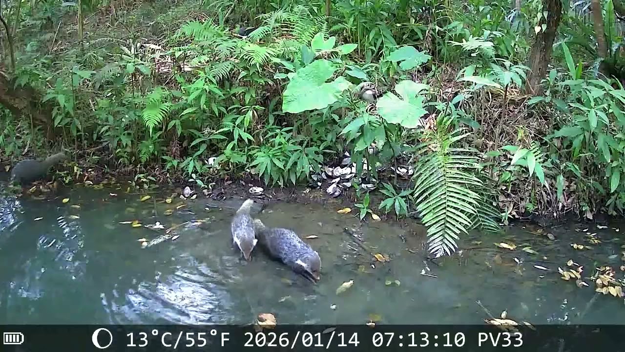 20260116 07:13