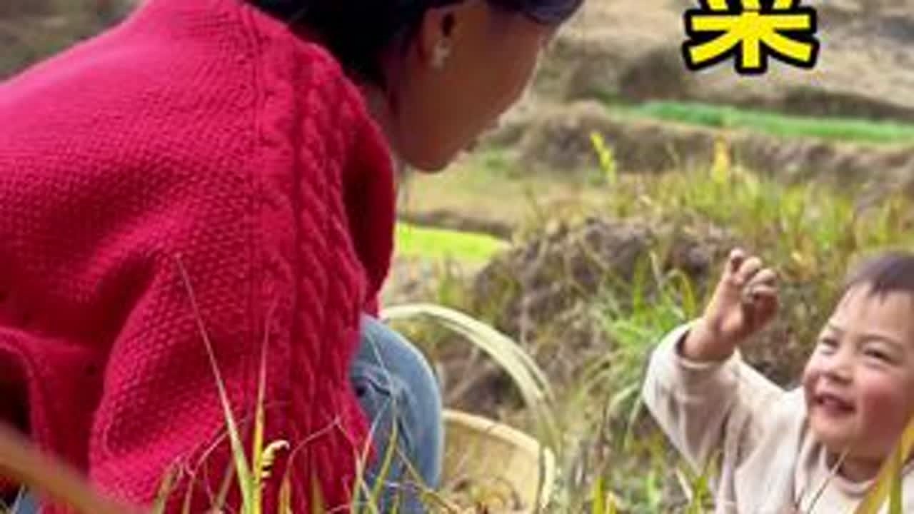 挖的是鱼腥菜，但是体验的却是童年的快乐啊#大山里的味道 #来一口春天的野菜  #田园生活乐趣多 #春天的美食来自田野  #新农人计划2025