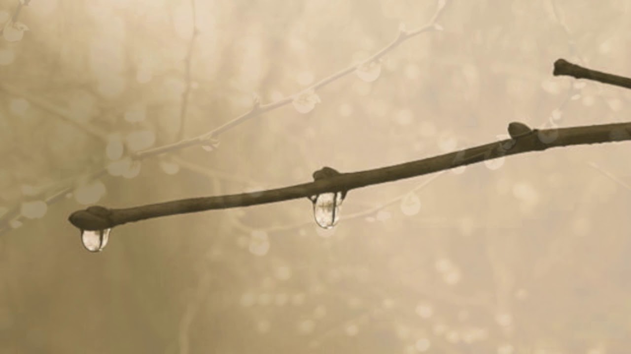 Forever Hurts - Anna-Karin Klockar
