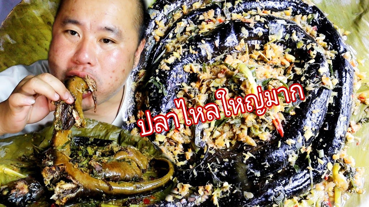 หมกปลาไหลแบบลาวๆข้าวเหนียวจำเต็มๆກີນຫມົກອ່ຽນໄຫຍ່ນຳກັນເດີ້ທຸກຄົນ