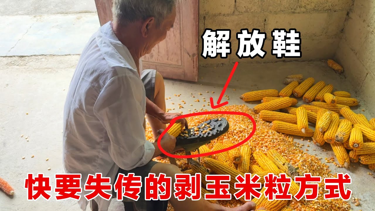 【丰收的喜悦】徒手剥玉米粒，古法妙招，在这机械时代，几乎都没多少人用这种方法剥玉米粒了，费时费力费鞋