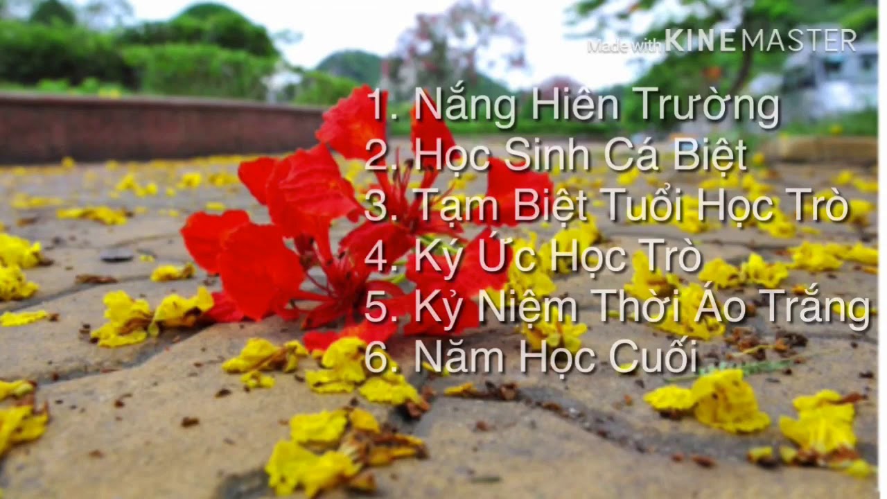 Những ca kh&uacute;c nhạc r&aacute;p hay nhất || Tuổi học tr&ograve;❤️