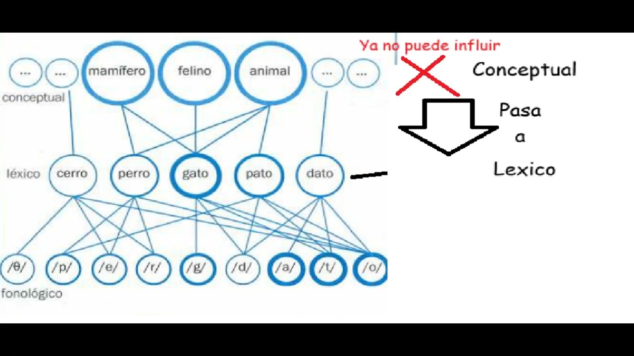 La producci&oacute;n oral en 3 minutos