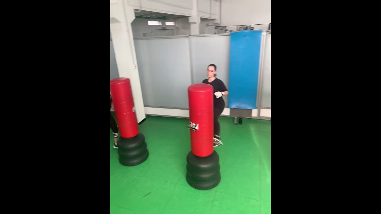 SEQUENZA DI AEROBOXE - TECNICA DI CALCI #palestragalliate  #fitboxe  #corsifitness  #aeroboxe