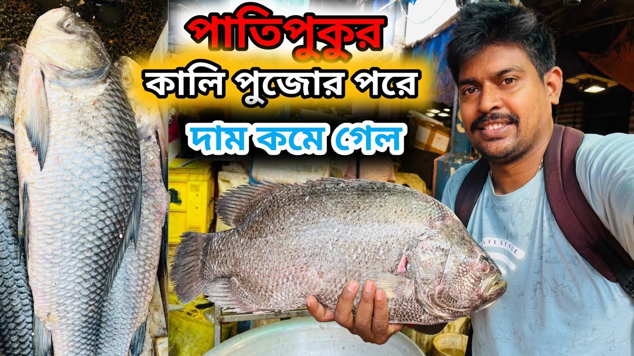 পাতিপুকুর মাছের পাইকারি বাজারে দাম কোম গেল কেন || patipukur wholesale fish market #fishmarket 